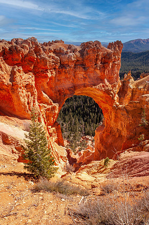Bryce Canyon NP - Natural bridge