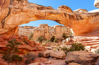 Capitol Reef - Hickman Bridge