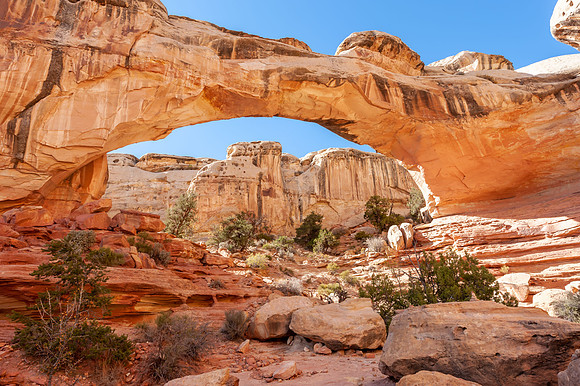 Capitol Reef - Hickman Bridge