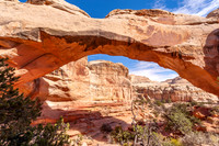 Capitol reef - Hickman Bridge