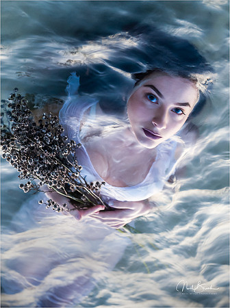 Currumbin Mermaid QLD