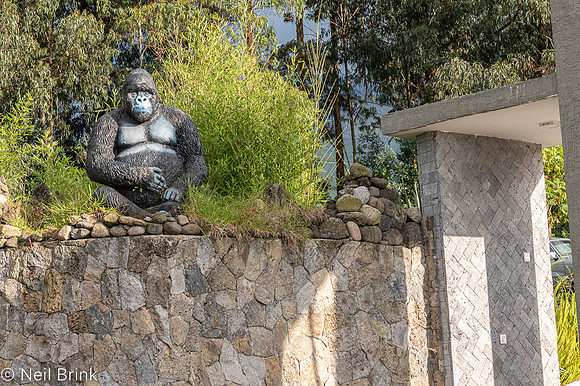 Volcanoes Gorilla HQ entrance