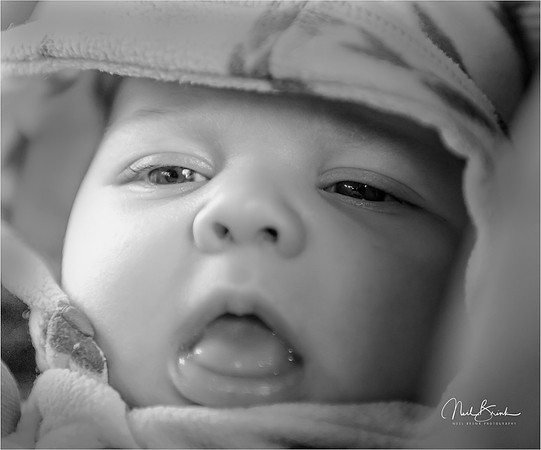 Adeline at 8 weeks