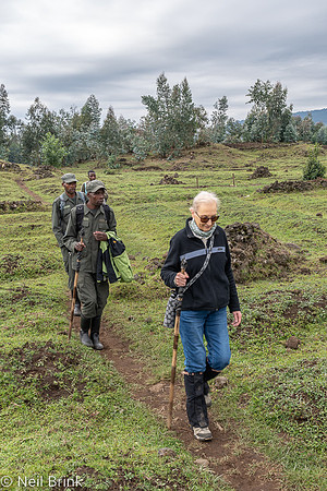 Trekking through farm land
