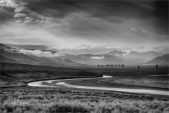 Lamar Valley - Yellowstone NP - USA