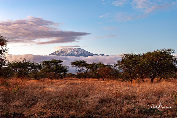 Ice capped Mt Kilimanjaro