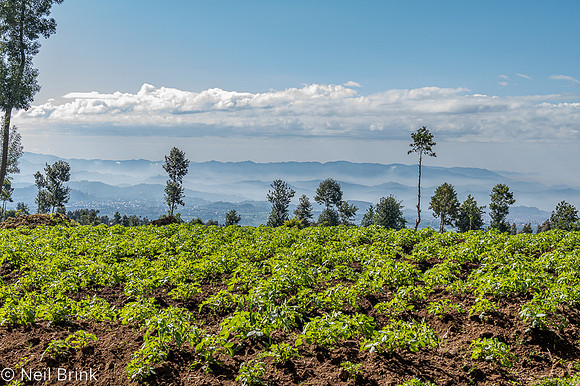 Trekking though farm land day 2
